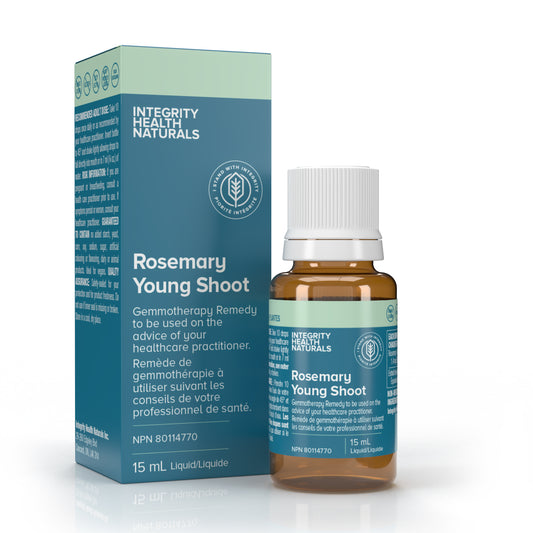 Rosemary Young Shoot - Rosmarinus officinalis